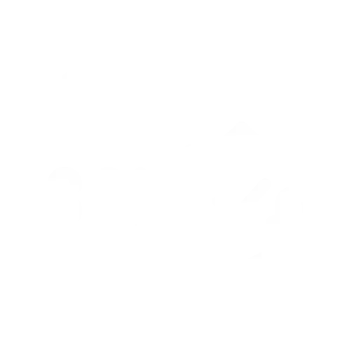 Obtén la máxima seguridad para tu sitio web en ALFA Technologies. Nuestros servicios de hosting web incluyen un certificado SSL gratuito para proteger la información de tus usuarios y mejorar la confianza en tu sitio. Con un SSL activo, puedes garantizar que la información transmitida entre tu sitio y tus visitantes esté encriptada y segura. Confía en nosotros para proporcionarte un entorno web seguro y confiable con nuestro certificado SSL.